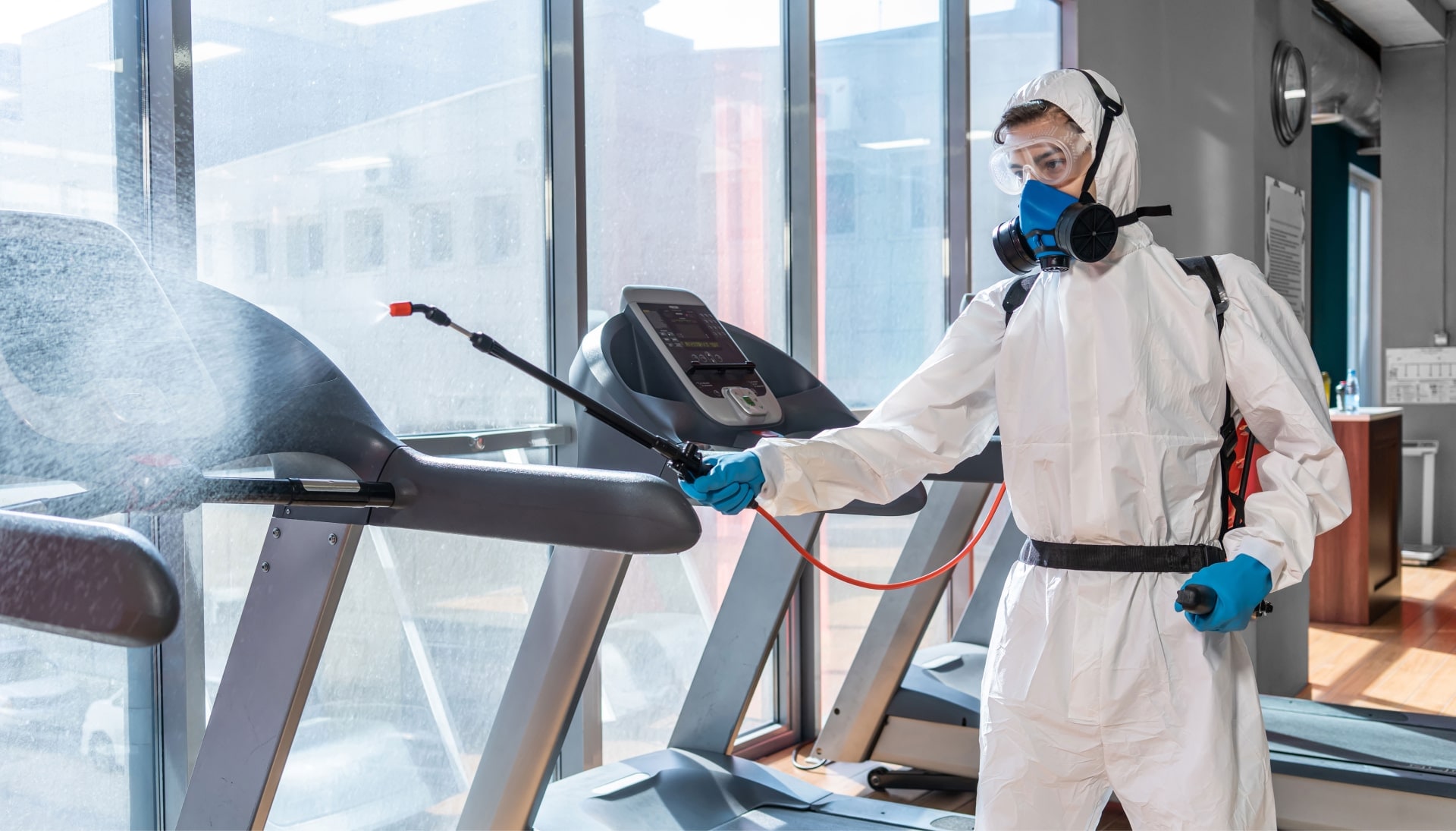 Commercial Mold Removal Services in Louisville